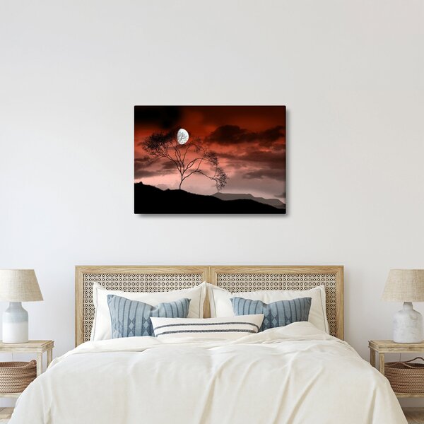 Kép - Hold megvilágítja az éjszakát (70x50 cm)
