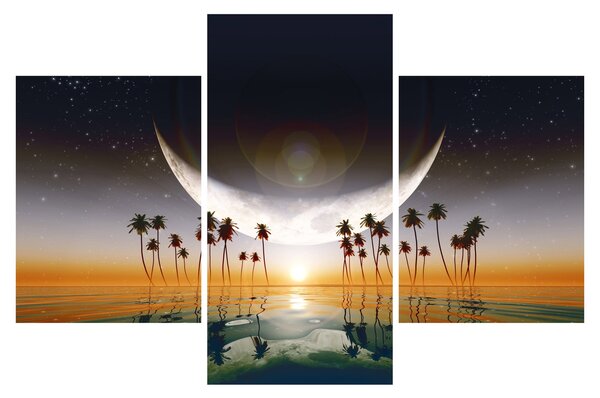 Kép - Hold a pálmafák felett (90x60 cm)