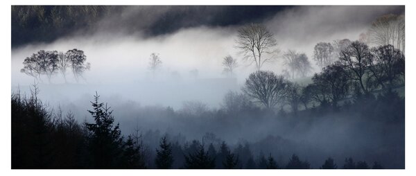 A köd képe az erdő felett (120x50 cm)