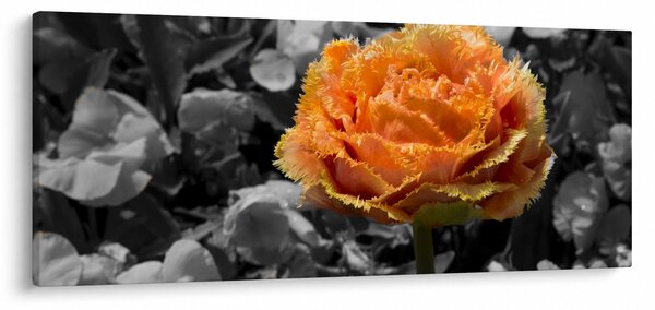 Virág képe (120x50 cm)