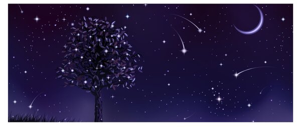 Kép - Illusztrációban fogott éj (120x50 cm)
