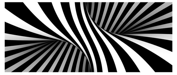 Absztrakt kép zebra csíkokkal (120x50 cm)