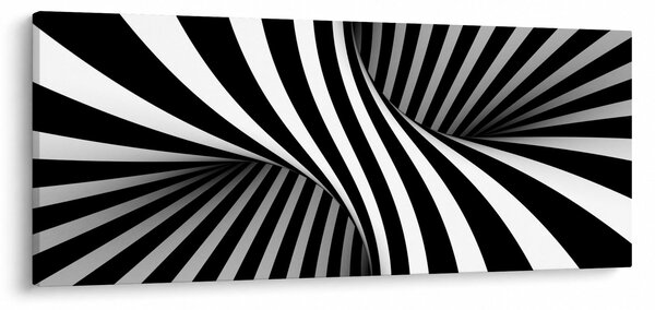Absztrakt kép zebra csíkokkal (120x50 cm)