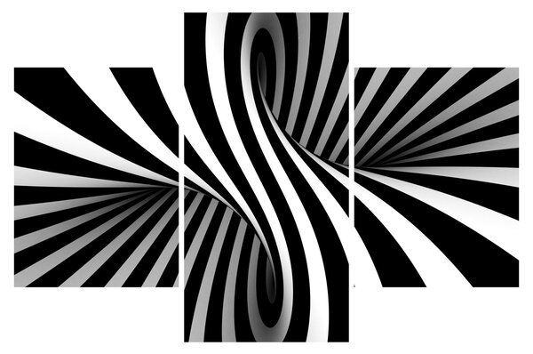 Absztrakt kép zebra csíkokkal (90x60 cm)