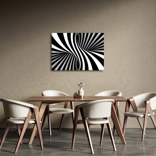 Absztrakt kép zebra csíkokkal (70x50 cm)