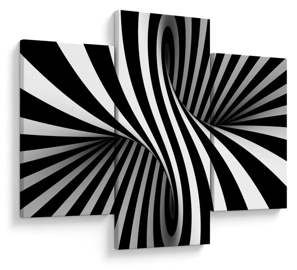 Absztrakt kép zebra csíkokkal (90x60 cm)