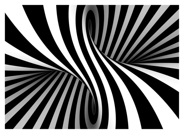 Absztrakt kép zebra csíkokkal (70x50 cm)