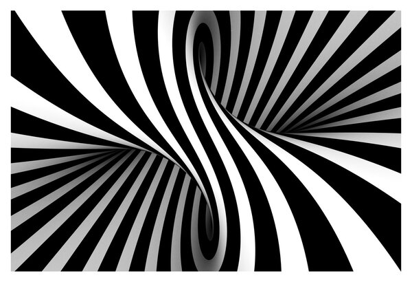 Absztrakt kép zebra csíkokkal (90x60 cm)
