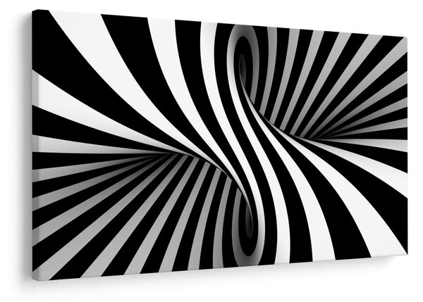 Absztrakt kép zebra csíkokkal (90x60 cm)
