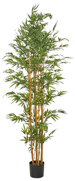 Műnövény BAMBOO 220 cm Zöld