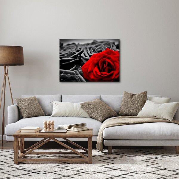 Kép - Rózsa virágok (70x50 cm)