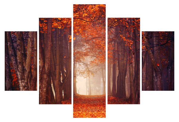 Kép - őszi erdő (150x105 cm)