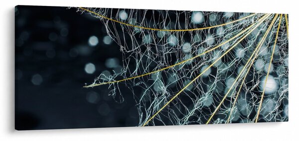 Kép - Virág pókhálóval (120x50 cm)