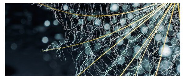 Kép - Virág pókhálóval (120x50 cm)
