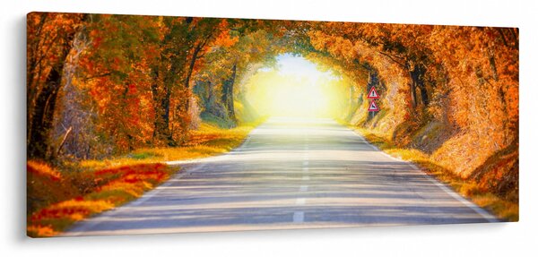 Kép - kapu a fák koronájából (120x50 cm)