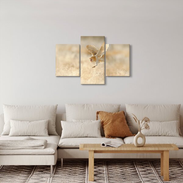 Kép - Bagoly (90x60 cm)