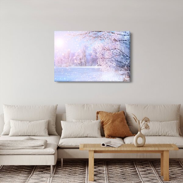 Kép - Fagyos tél (90x60 cm)