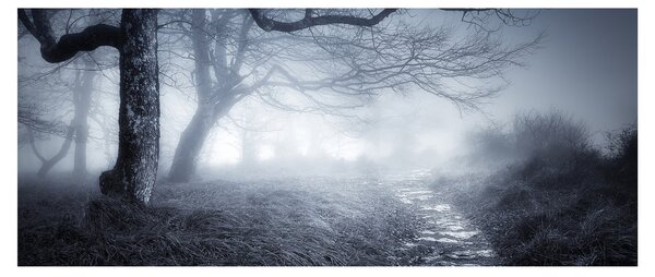 Kép - Út a ködben (120x50 cm)