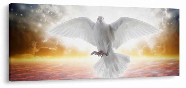 Galamb képe (120x50 cm)