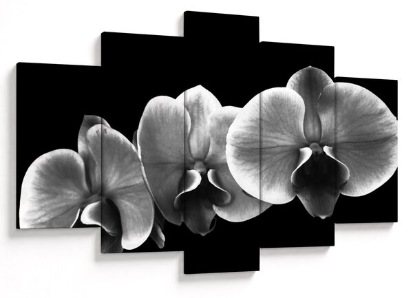 Egy orchidea virág képe (150x105 cm)