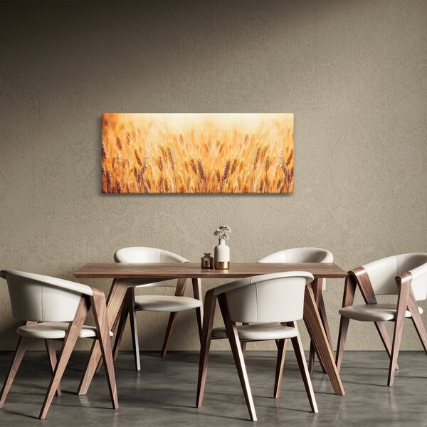 Kép - mező gabonával (120x50 cm)