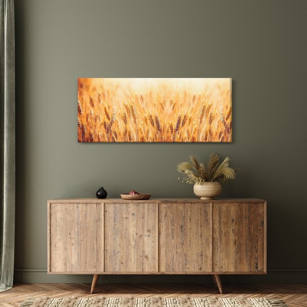Kép - mező gabonával (120x50 cm)