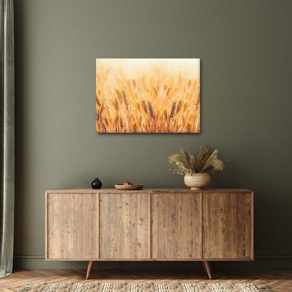 Kép - mező gabonával (70x50 cm)
