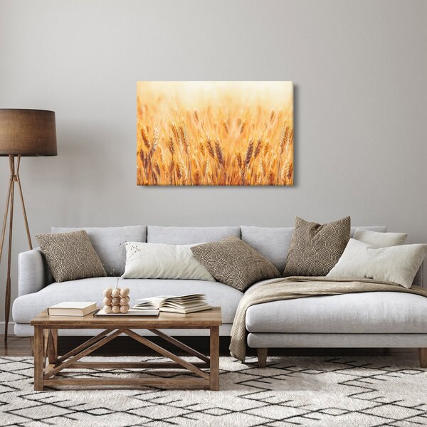 Kép - mező gabonával (90x60 cm)