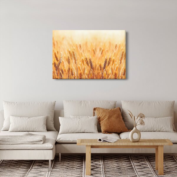 Kép - mező gabonával (90x60 cm)