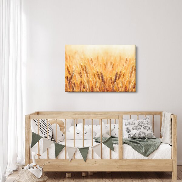 Kép - mező gabonával (90x60 cm)