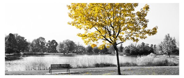 Kép - Pihenés a parkban (120x50 cm)