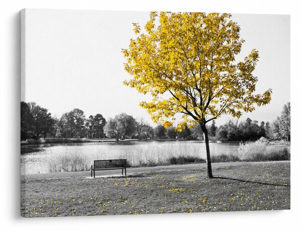 Kép - Pihenés a parkban (70x50 cm)