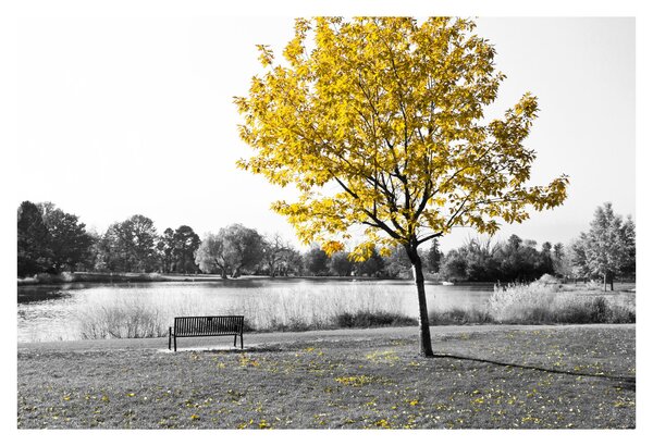Kép - Pihenés a parkban (90x60 cm)