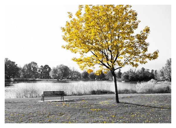Kép - Pihenés a parkban (70x50 cm)