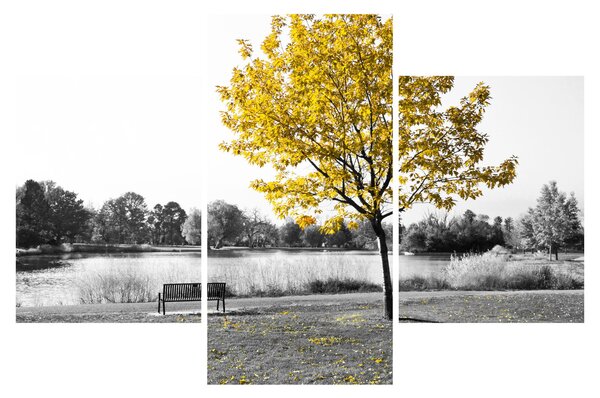 Kép - Pihenés a parkban (90x60 cm)