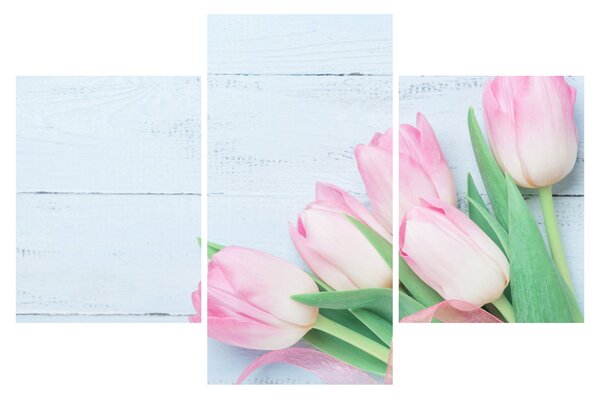 Kép - tulipán csokor (90x60 cm)