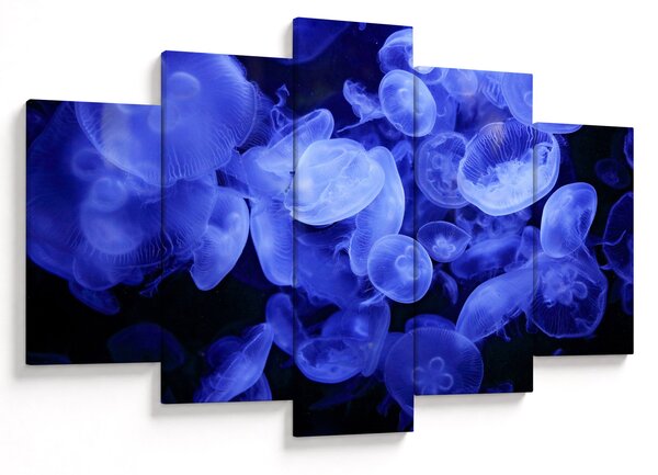 Kép - Medúza (150x105 cm)