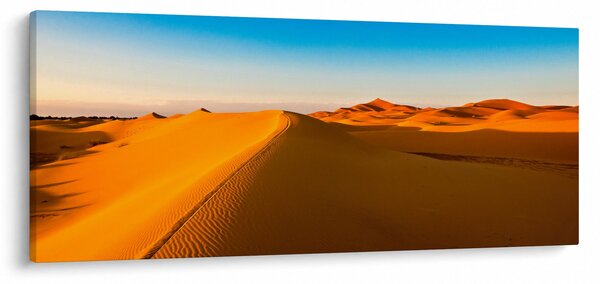 A sivatag képe (120x50 cm)