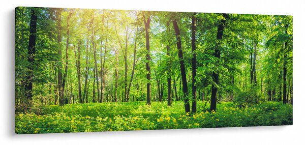Kép - Tavaszi lomberdő (120x50 cm)