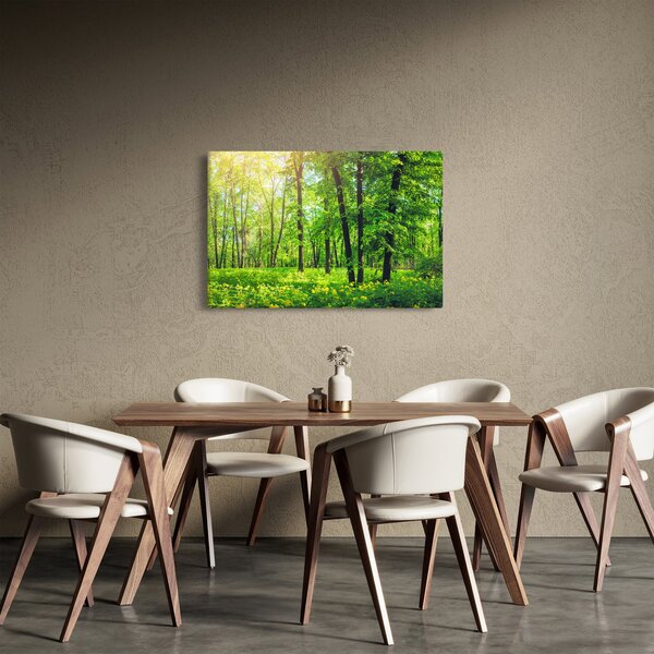 Kép - Tavaszi lomberdő (90x60 cm)