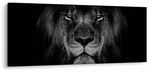 Kép - Az oroszlán és felsége (120x50 cm)