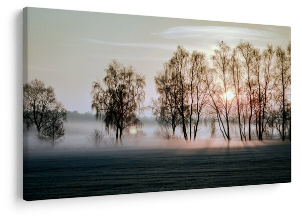 Kép - reggeli szárazság (90x60 cm)
