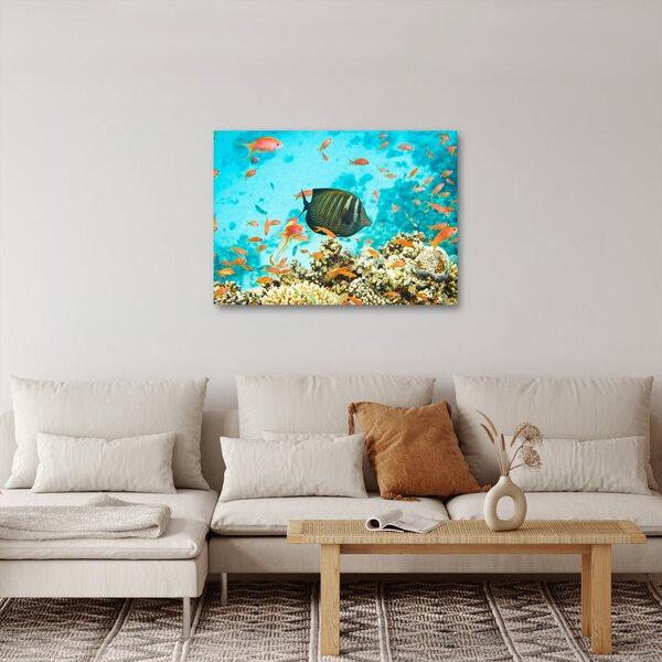 A víz alatti világ képe (70x50 cm)