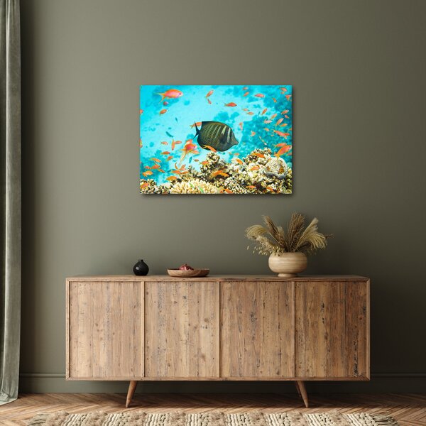 A víz alatti világ képe (70x50 cm)