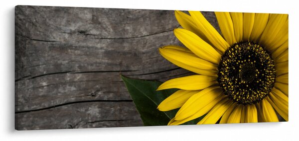 Kép - Napraforgó virága (120x50 cm)