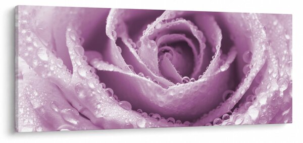 Egy rózsa virág részlete (120x50 cm)