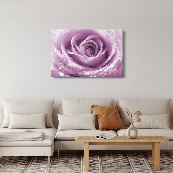 Egy rózsa virág részlete (90x60 cm)