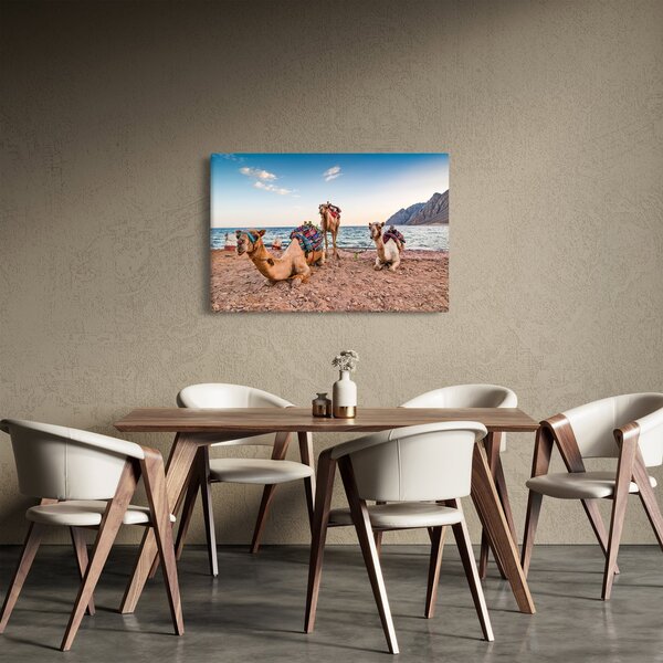 A tevék képe (90x60 cm)