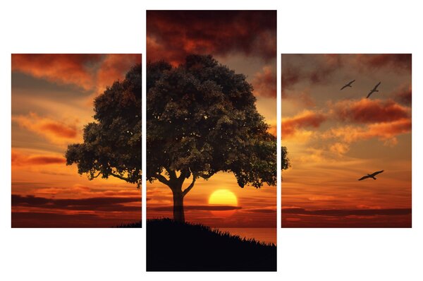 Fa képe naplementével (90x60 cm)