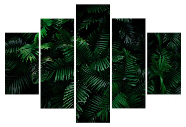 Kép - trópusi páfrány (150x105 cm)